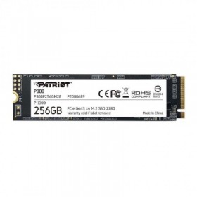 PT SSD 256GB M2 2280 P300P256GM28